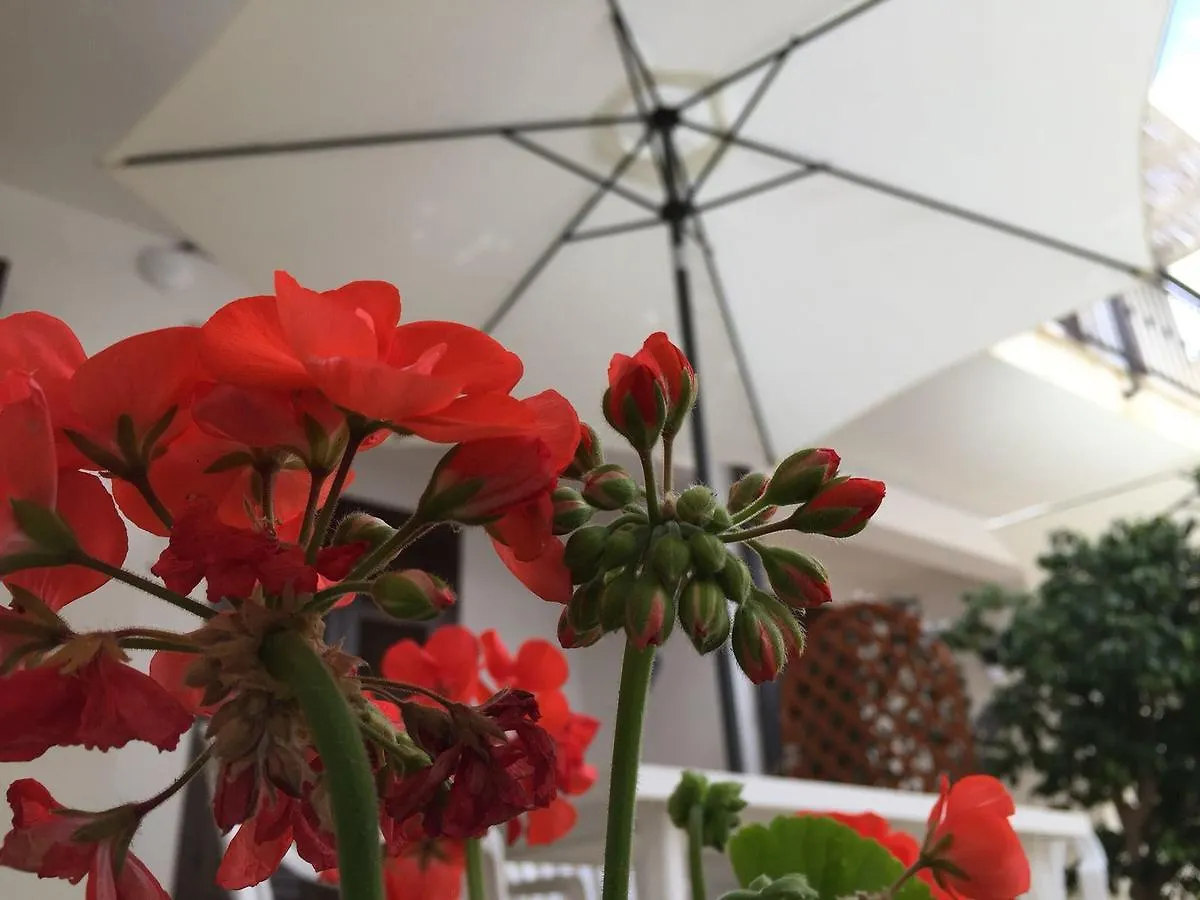 Apartment Appartamenti Monaco San Vito Lo Capo Italy